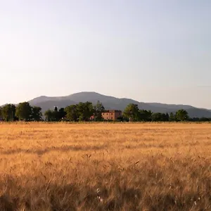 Alloggio per agriturismo Il Pescinone Venturina Terme